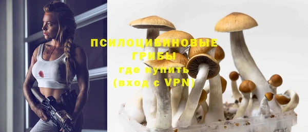 первитин Абинск