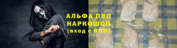 сатива Алзамай
