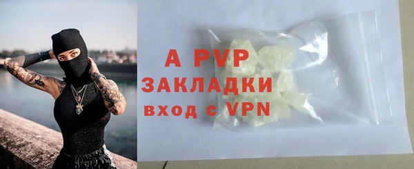 сатива Алзамай