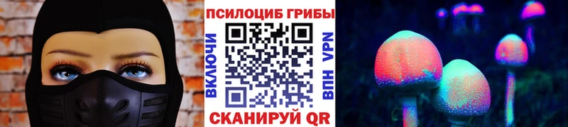 Галлюциногенные грибы Psilocybe Старая Русса